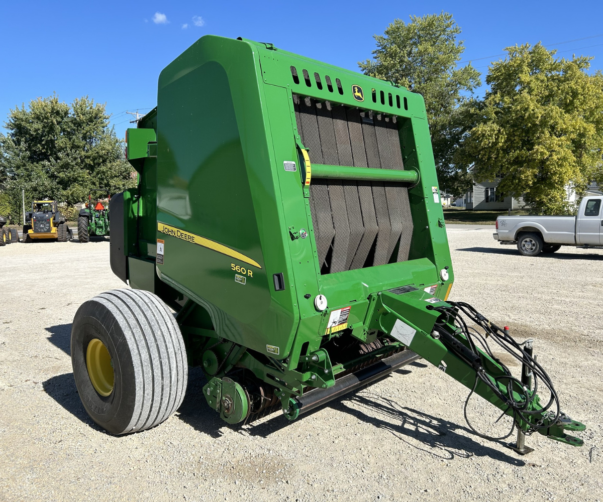 56164